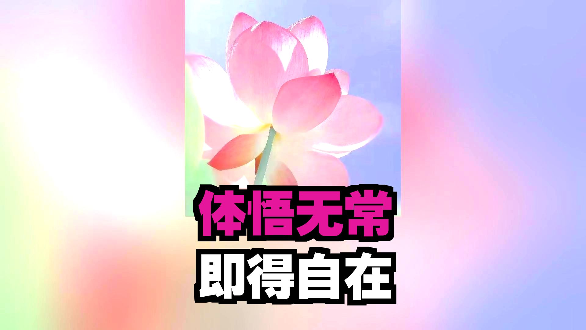 体佛法师开示：诸行无常