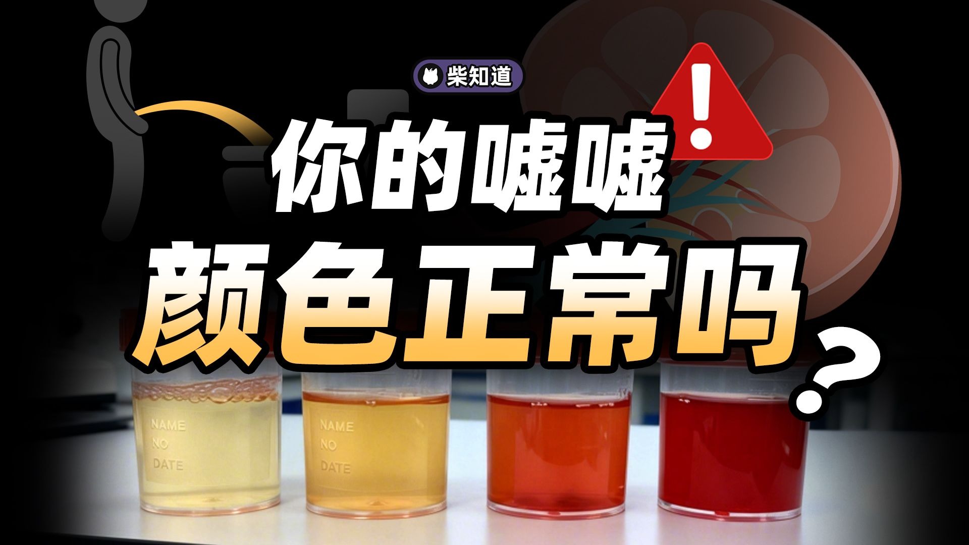 年轻人也会得肾病？肾透支的真相，比“雄风不再”更可怕【柴知道】