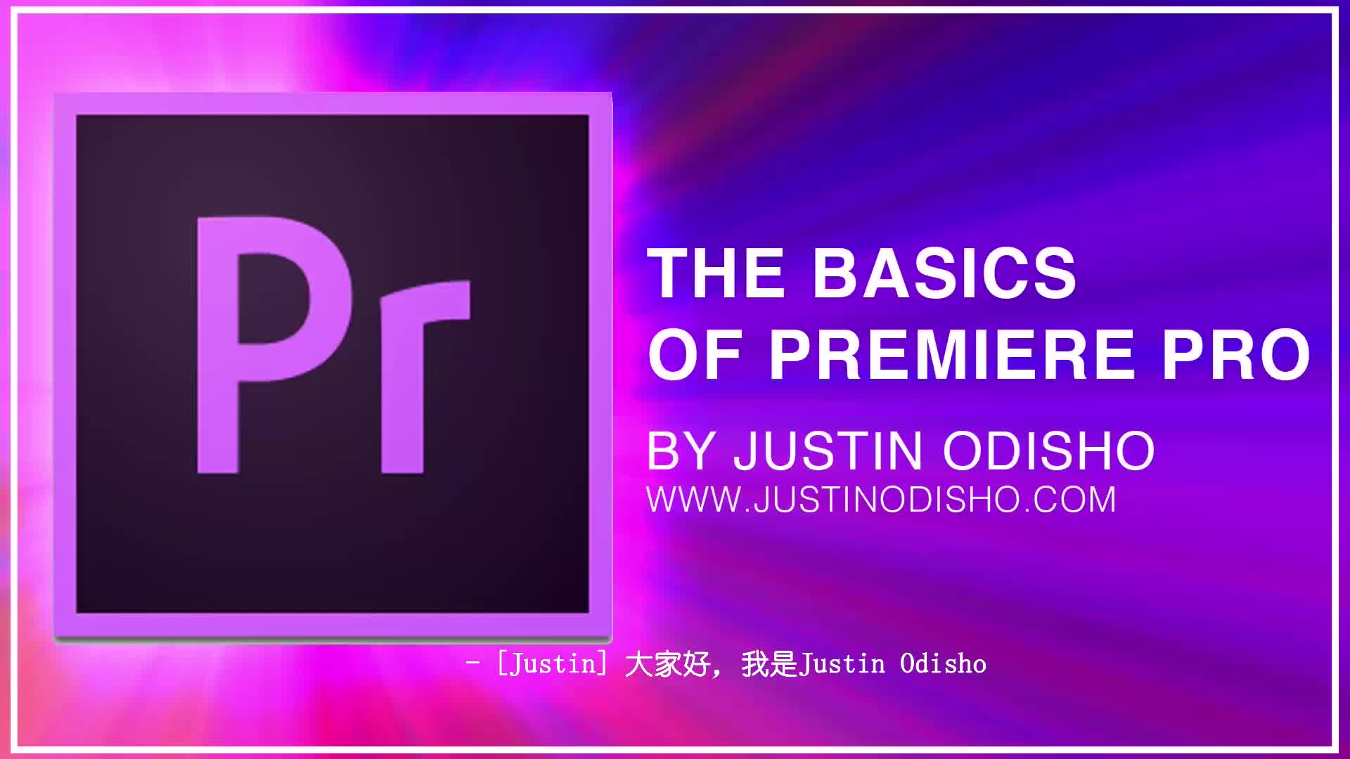 adobe premiere pro cc初学者教程:基础入门指南(中文字幕)