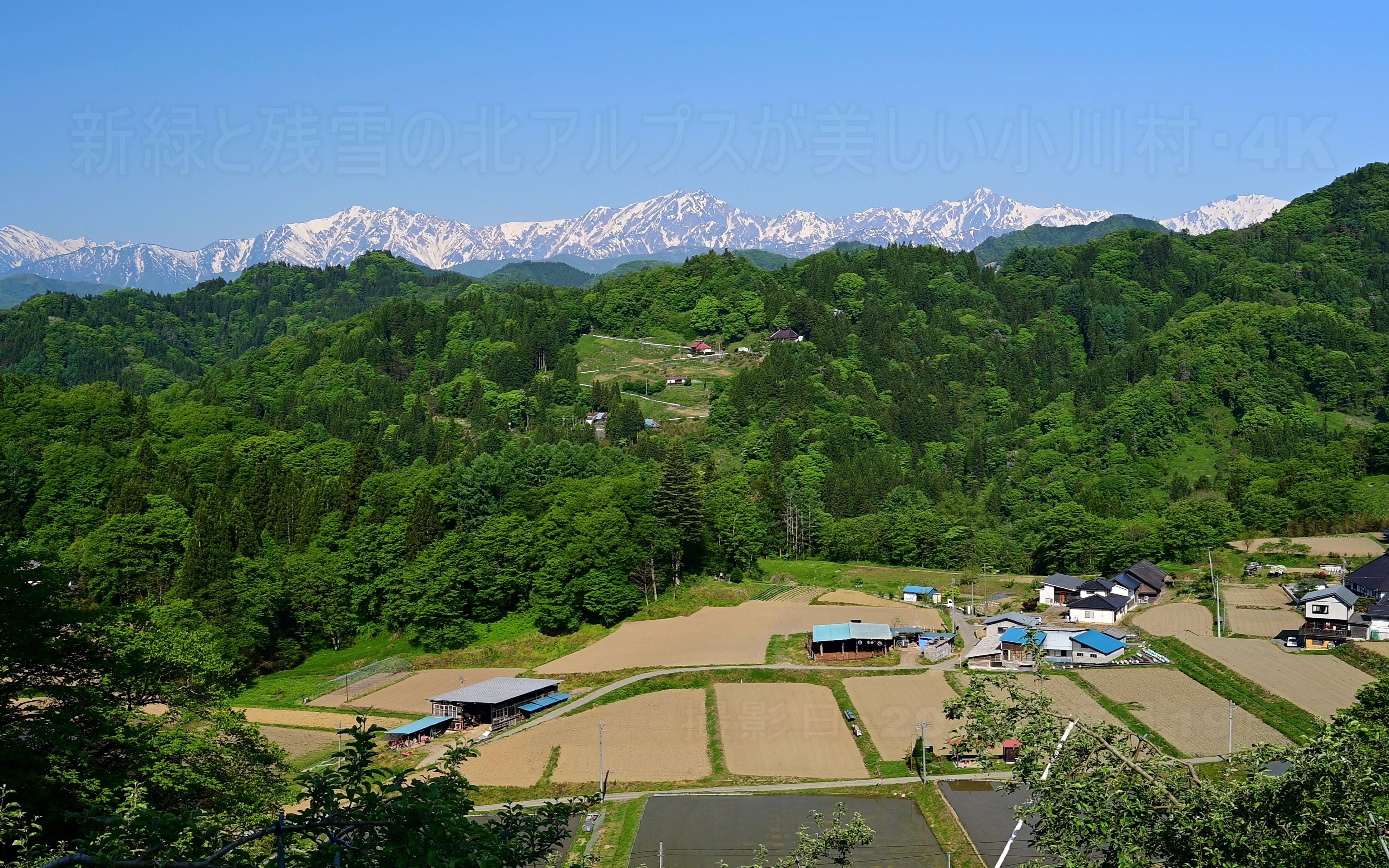 【超清日本】第一视角 新绿和残雪的北阿尔卑斯山 长野县小川村 (4K超清版) 2022.5