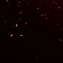 2958797_透明通道红色花瓣飘落粒子光斑视频素材