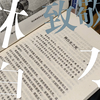 执笔欲扫天下浊——致敬林白水先生