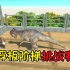 动物战争模拟器：浮板阶梯挑战赛，坚持不懈的重头龙选手