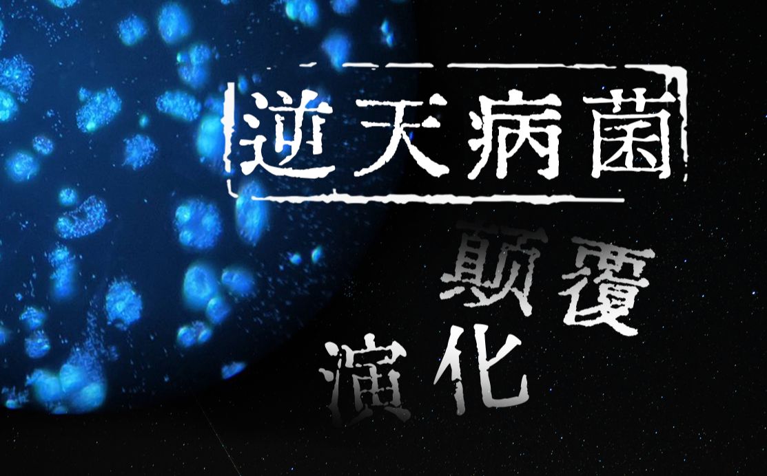 沃尔巴克氏体：恶魔的契约