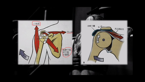 95b259bcdccf4f10e443cdeb9f12677da9cb47db.png@480w_270h_1c