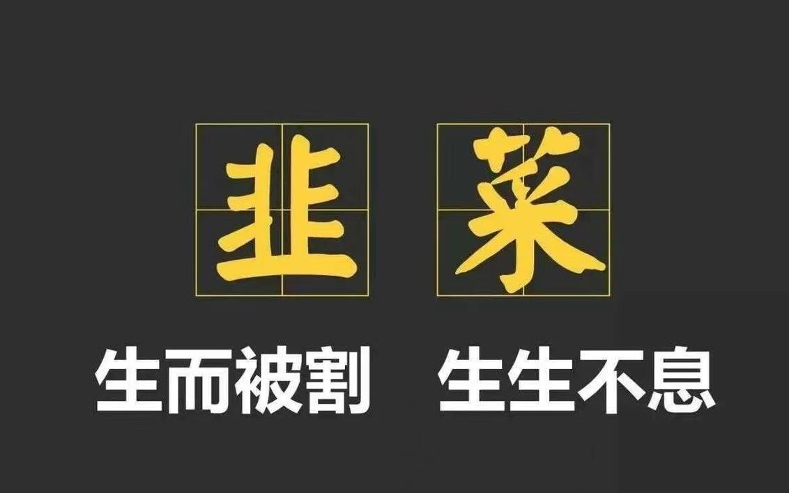 数藏韭菜笔记124期：塞波尔暂停！2-9打不动了！嘿嘿😁 十八数藏近日行情？怎么说尼，富贵险中险中险中求吧！