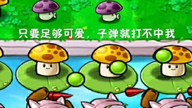 95cf1b0b30fab92150951ab77e63f7aefe7268a4.jpg@280w_158h_1c_100q.jpg