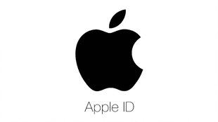 95e393f17d8b775dd2a32764250fea7a4503cc1e.jpg@310w_174h_1c_100q.jpg