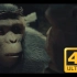 《猩球崛起：最后边疆》游戏CG大电影4K