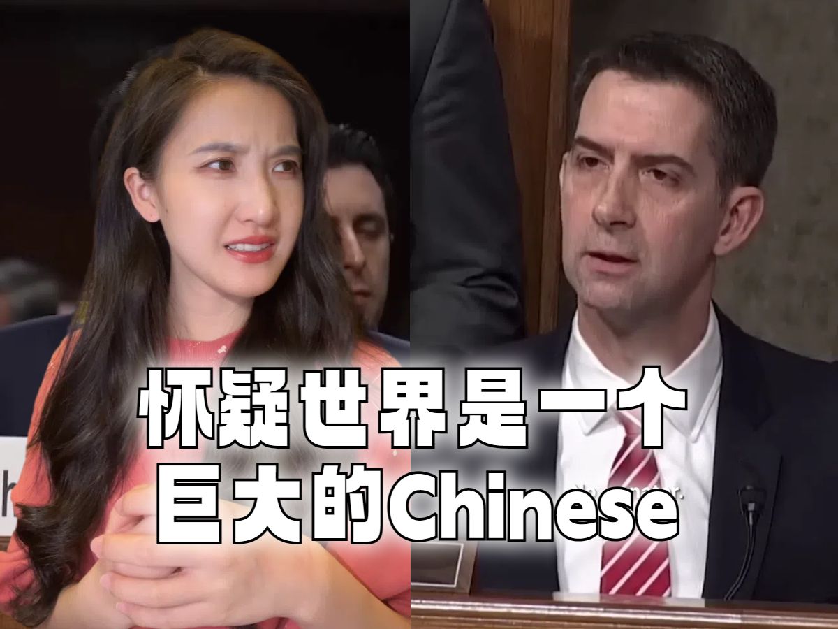新加坡CEO被连问8次是不是中国人，美议员就这么办事？