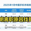 2025一月手机市场排名