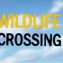 【CGI动画短片】Wildlife Crossing - 野生动物穿越