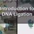 【JoVE】细胞分子生物学中的基本方法（13）DNA连接反应