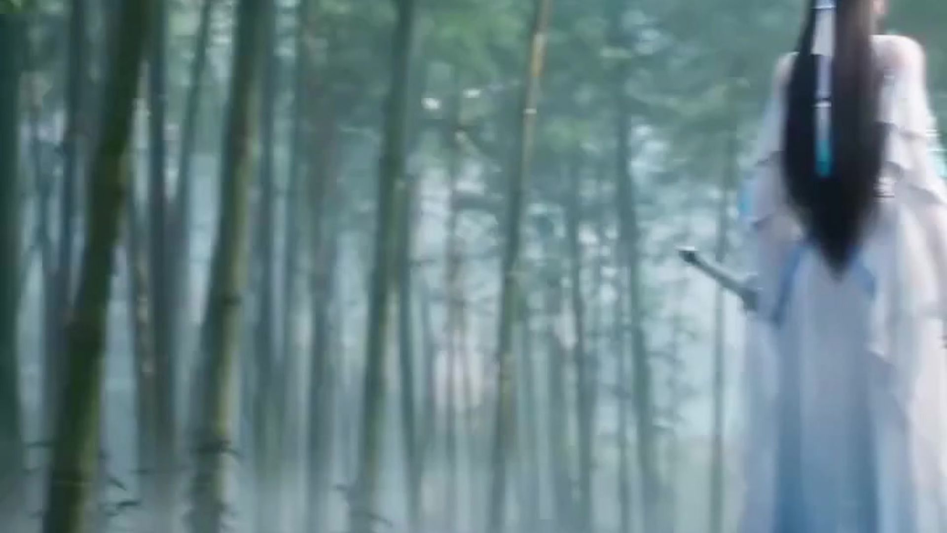 自制陆雪琪舞剑视频.