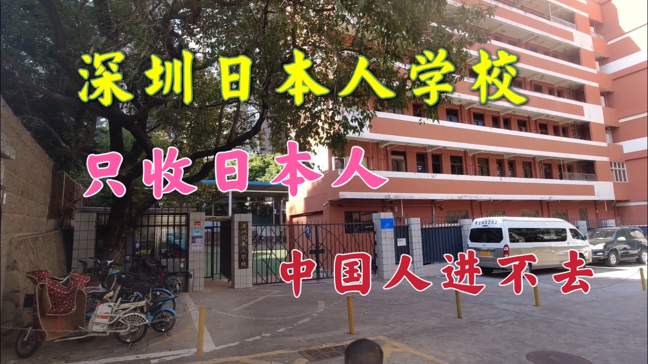 深圳一所只收日本人的学校中国人进不去网友很危险