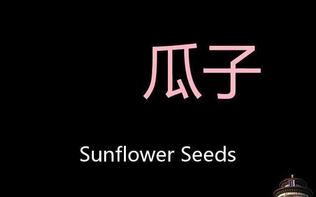 瓜子 Chinese Pronunciation Sunflower seeds哔哩哔哩bilibili