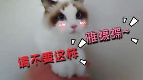 960f9bc945c46dddf964b3f43cac343652a66a04.jpg@280w_158h_1c_100q.jpg