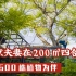 北京夫妻在家造植物园：200㎡四合院，留给600多种植物