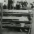 最早的高速摄影《骑马难下》1894年 爱迪生电影公司拍摄