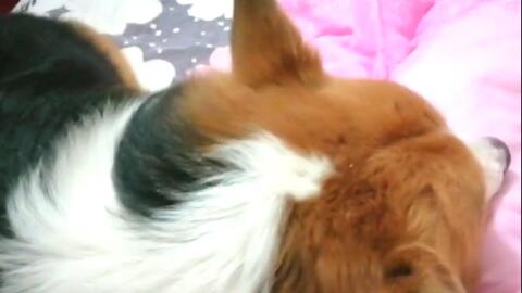 966a16330b496153d7daa1ad427b7550761376e1.jpg@480w_270h_1c