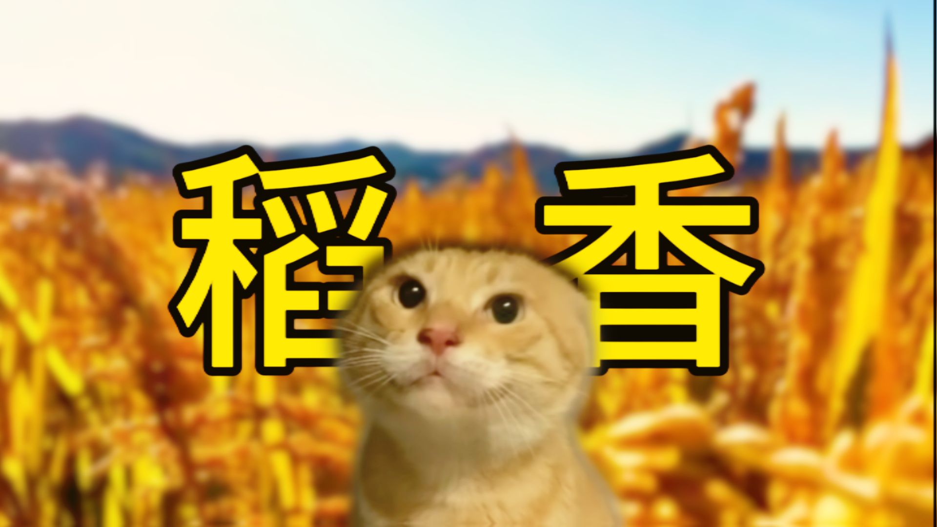 想做一只没烦恼的快乐基米
