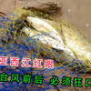 水面系路亚西江红眼，台风前后必须狂口