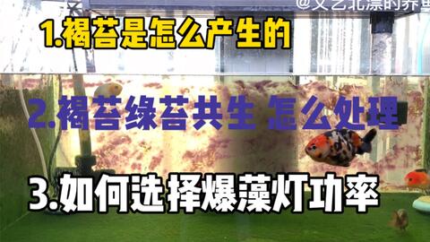 967ed5610208d9140b2c3242c1354ec657f24f29.jpg@480w_270h_1c