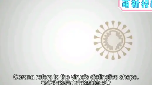 科普—新型冠状病毒介绍—英语—中英文字幕