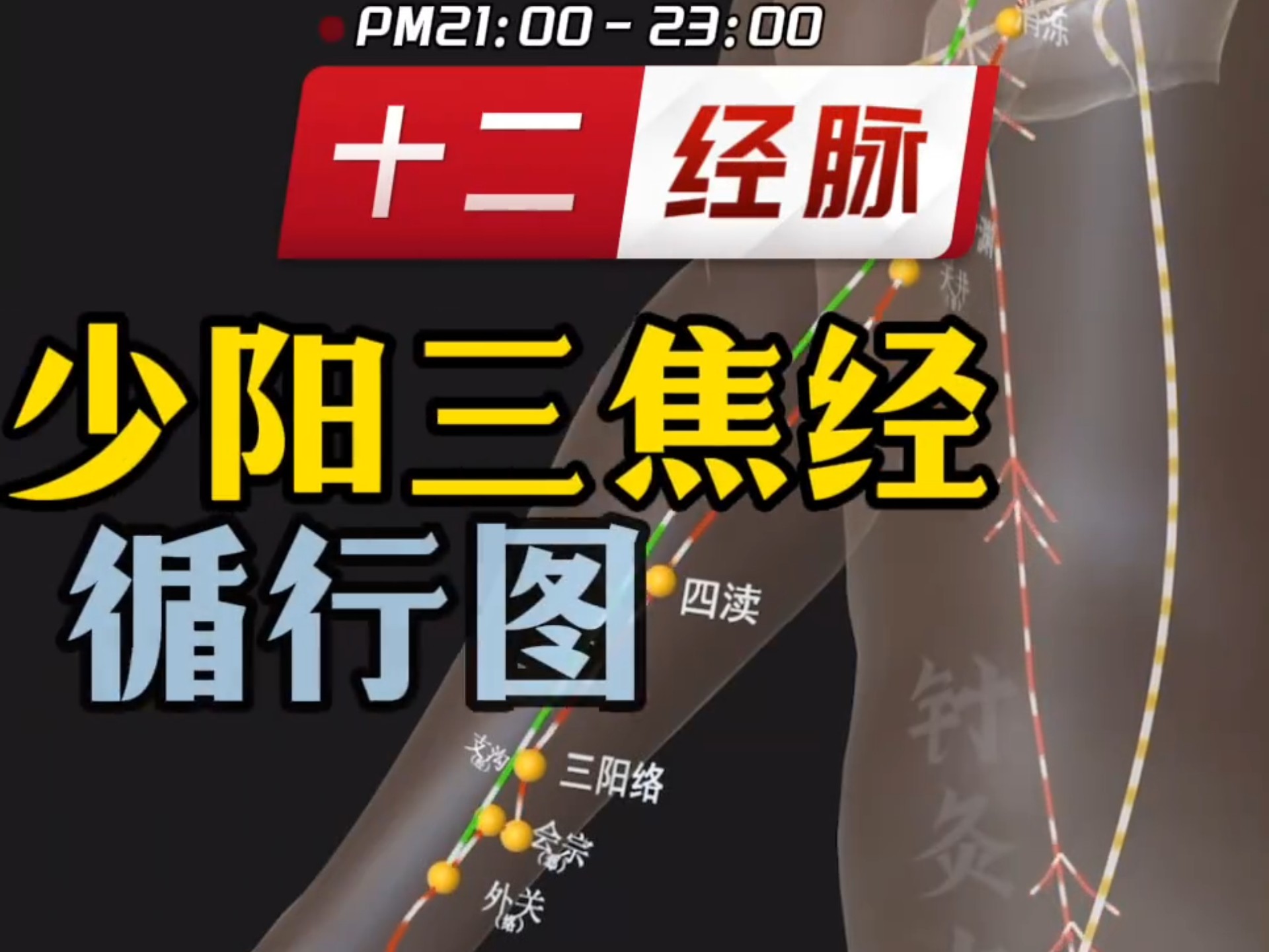 【十二经脉之手少阳三焦循行路线图及功效主治】