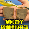 全网首个塔利怪物化石开箱：奇葩登场