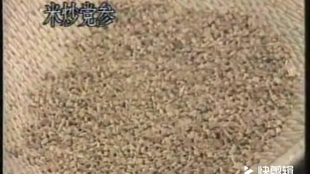 968ed7e29d06d9a459b6a7b4b88ddbc51c5bfac0.jpg@310w_174h_1c_100q.jpg