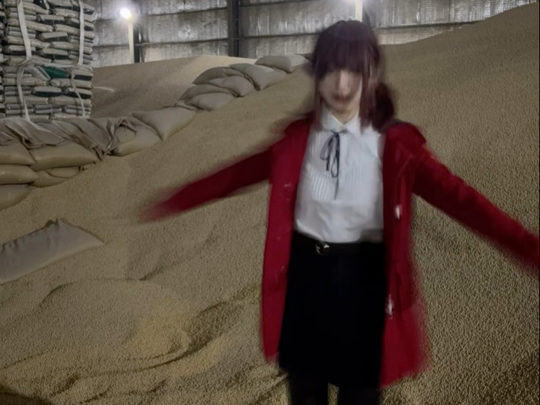 The kid sister who spins at high speed after eating Northeastern soybeans
