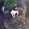 女子醉倒路边遭老人猥亵，被乱摸长达十几分钟，路人发现后立刻报警