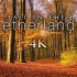 自然治愈4K / 荷兰郊外的深秋~美景+轻松小调