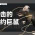 基因突变如何让200万只老鼠成为纽约霸主？