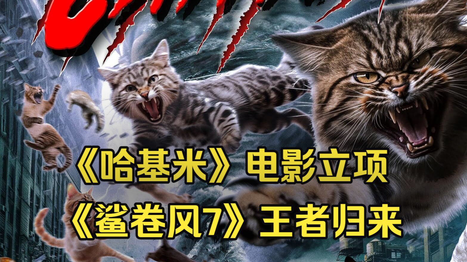 《哈基米》电影即将开拍、《鲨卷风7》今年夏季上映