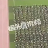 老师和学生身份是一样的吗？美国日本要灭我们中华，吃点苦算什么