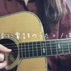 【nemu】寝れない電話のうた。/泣き虫☔【弾き語りcover
