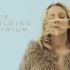 Delirium - Ellie Goulding 艾丽高登