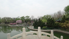 971469c0b7c283c6a77bcff99da57d9172d887dc.jpg@280w_158h_1c_100q.jpg