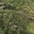 【ENG】《美丽中国说》UNEXPLORED LAND EP3 亚洲象群如同雨林王者穿越在森林中 他们如此艰辛行走的目的