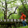 大自然“提根”如何来？川西森林找答案