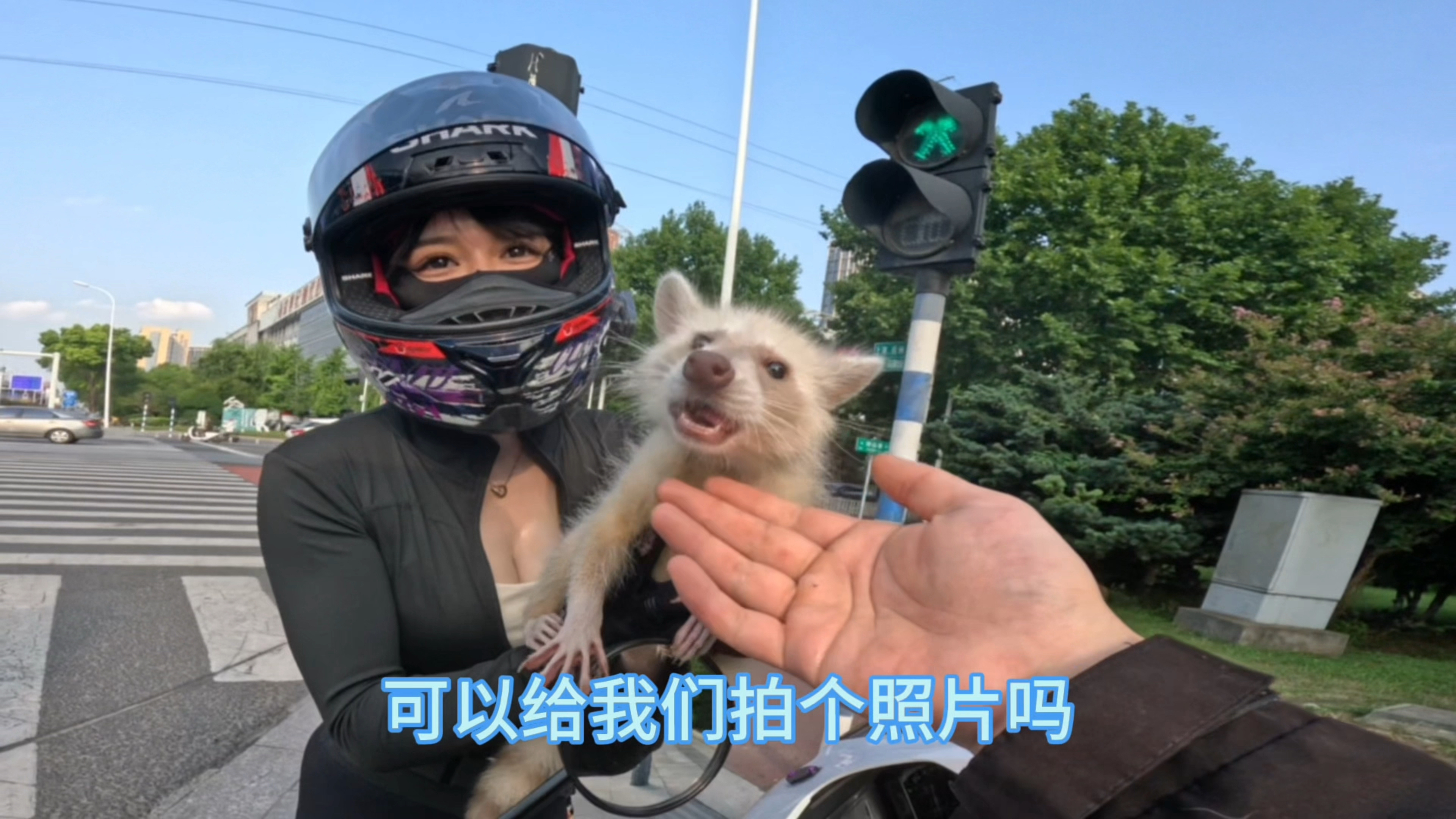 浣熊：你的姻缘我只能帮到这里了