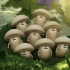 CG超萌动画《蘑菇世界》