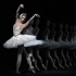 【Liam Scarlett 改编版 天鹅湖】英国皇家芭蕾舞团 Lauren Cuthberson & William 