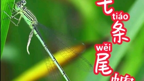 什么叫做变态发育和不变态发育 9776f645b3e423331ea8dd89c7c1469f5a1304a5.jpg@280w_158h_1c_100q.jpg