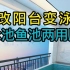 【房屋装修】阳台爆改泳池鱼池，只需简单这八个步骤