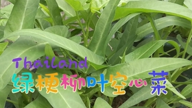 9798e0f7e5762c02d0a4bebf177604ecea29f1cb.jpg@280w_158h_1c_100q.jpg
