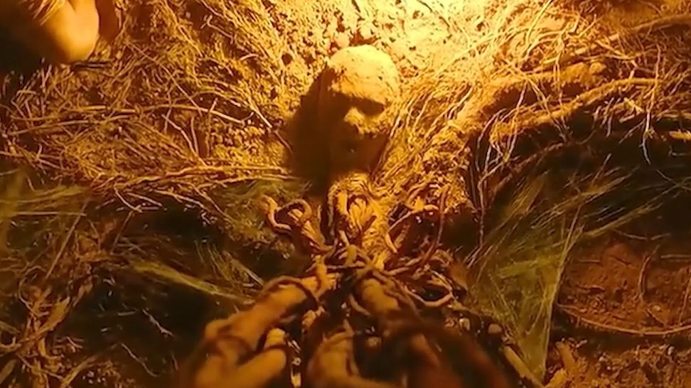 这个孙子循着铁链找到了身体只剩一副骨架，可依旧还活着的曾祖奶！