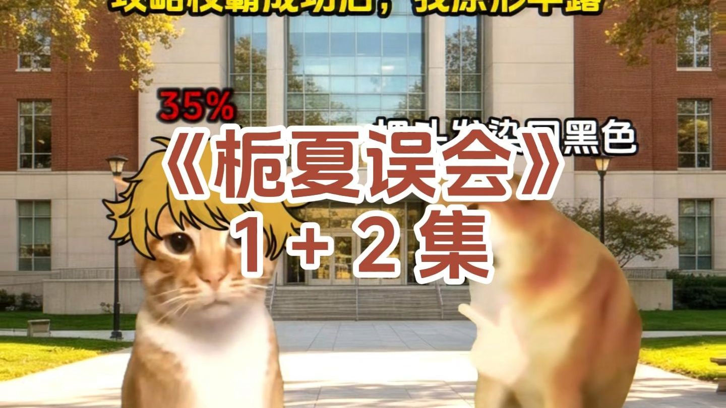《栀夏误会》1+2集